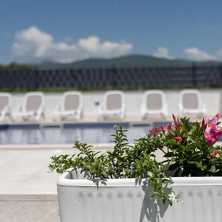 Ana فيلة تروغير